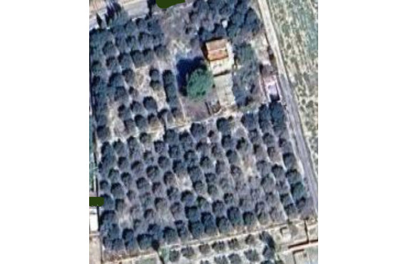 Venta - Chalet - Elche - Alzabares Alto