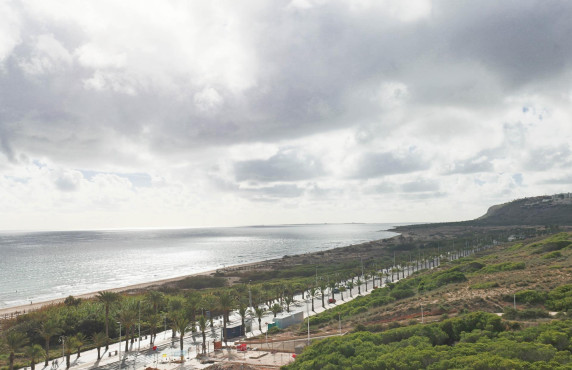 Venta - ático - Arenales del sol - Zona paseo maritimo
