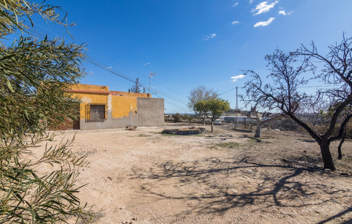  - villa - Elche - Carrus