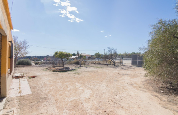  - villa - Elche - Carrus