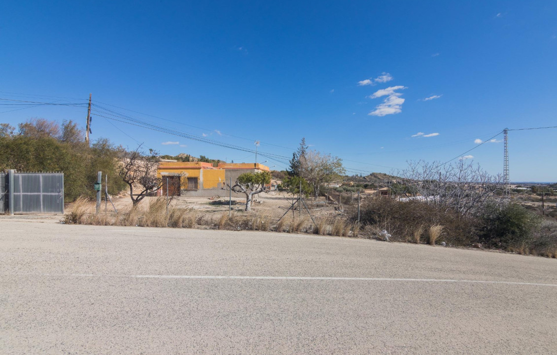  - villa - Elche - Carrus