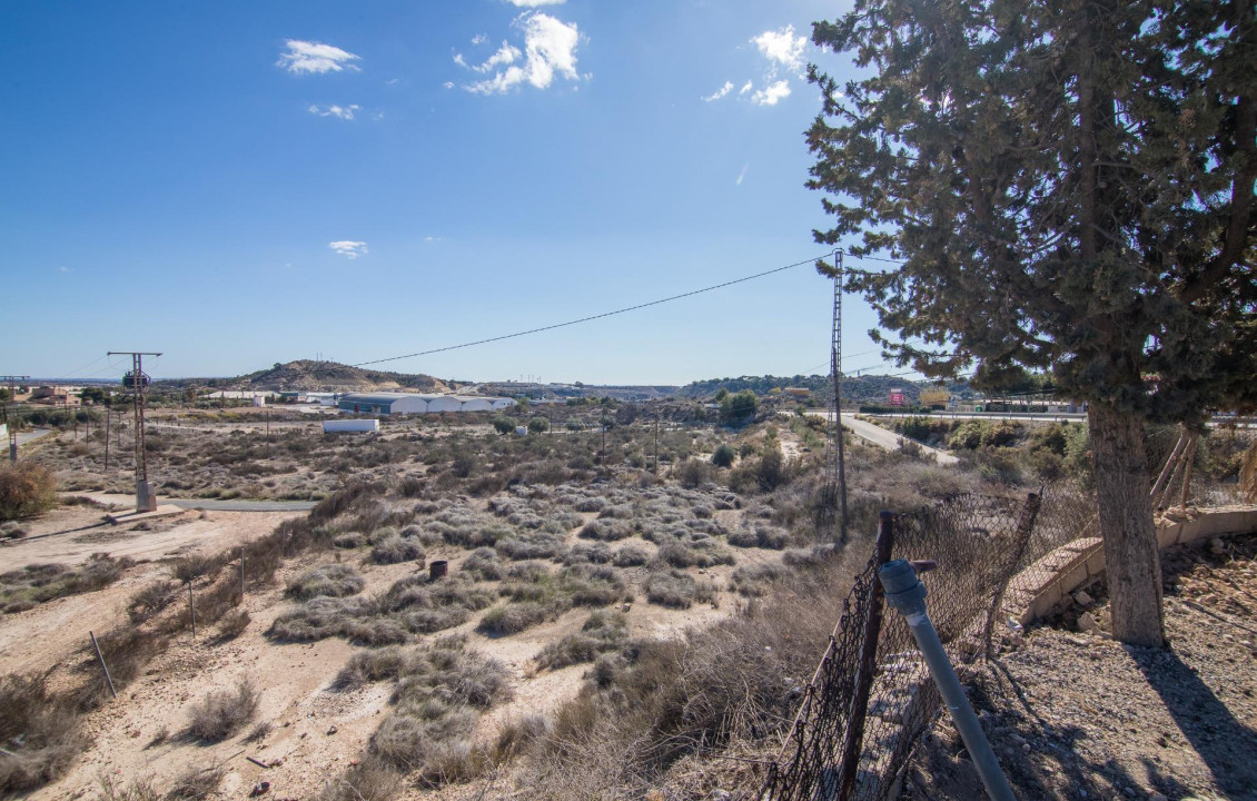  - villa - Elche - Carrus