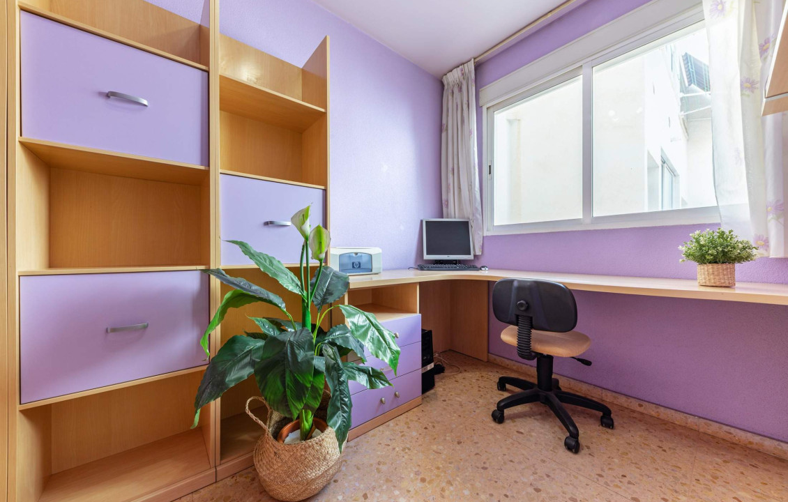 Venta - Piso - San Vicente del Raspeig - Sur