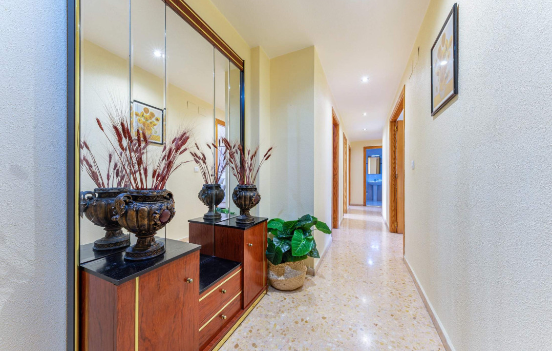 Venta - Piso - San Vicente del Raspeig - Sur