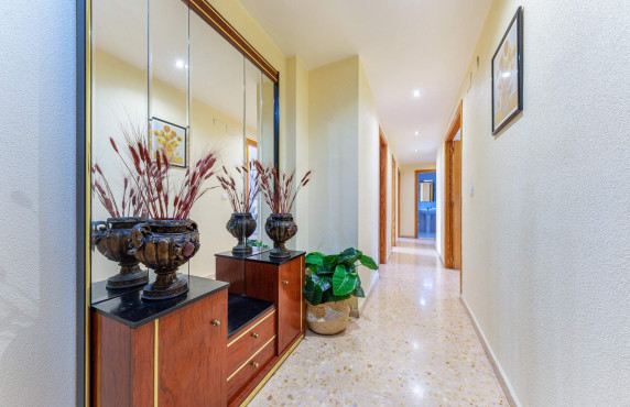 Venta - Piso - San Vicente del Raspeig - Sur