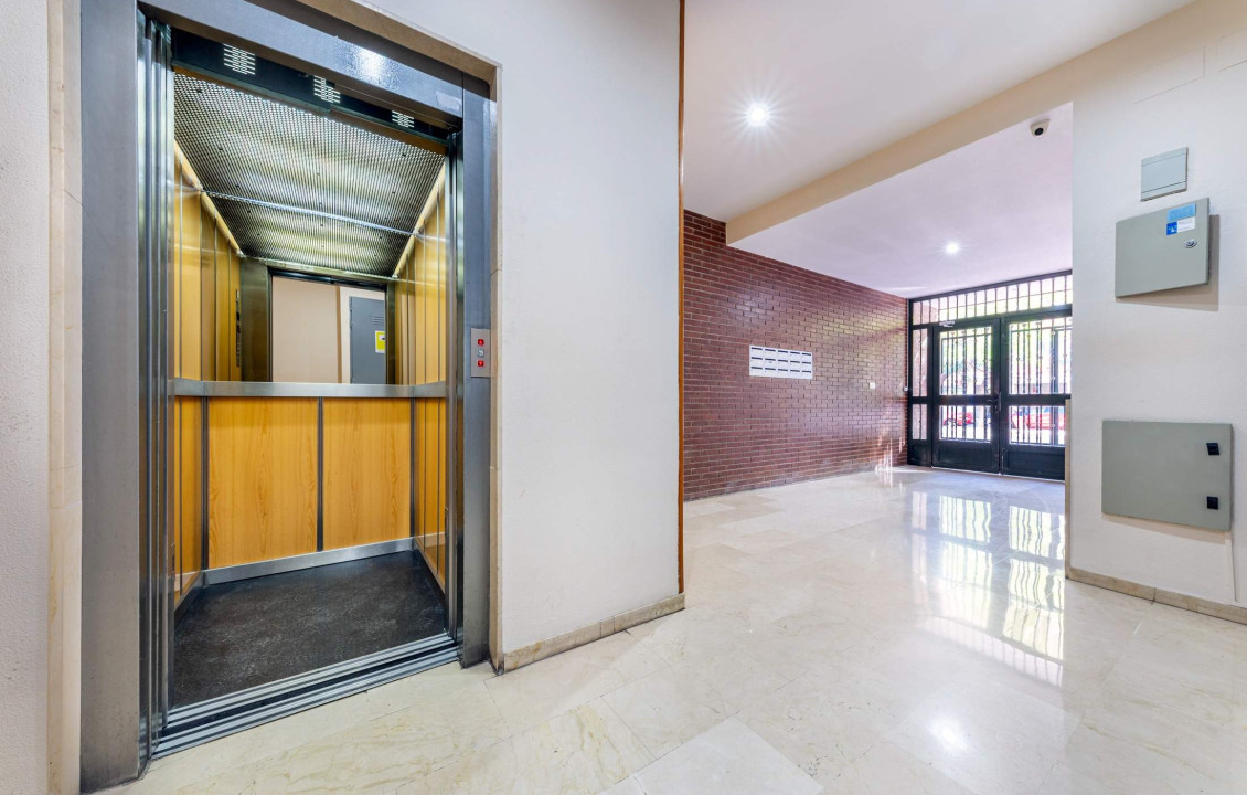 Venta - Piso - San Vicente del Raspeig - Sur