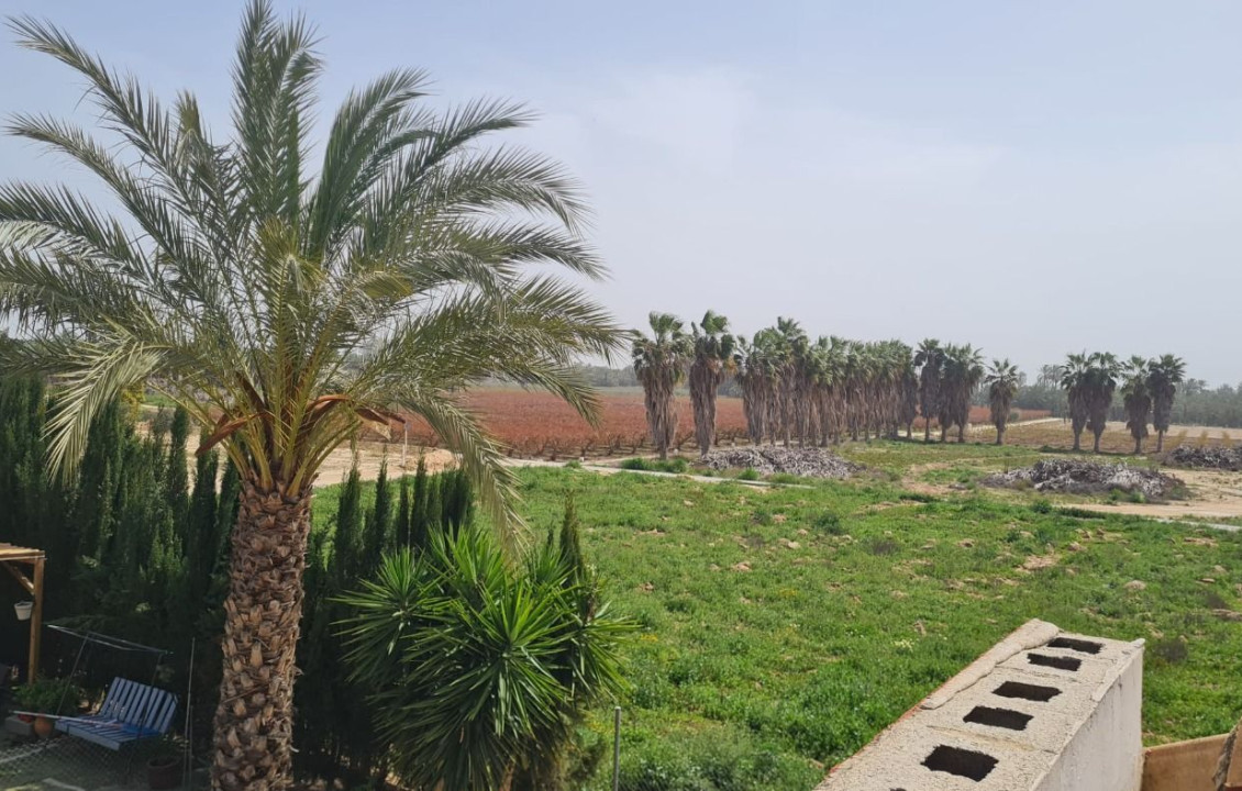 Venta - villa - Elche - Algoda