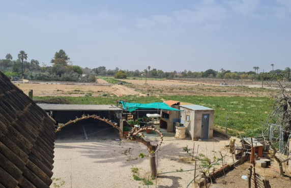 Venta - villa - Elche - Algoda