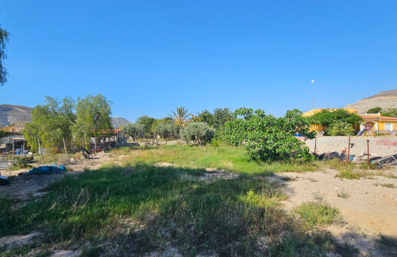 Venta - Country house - San Vicente del Raspeig - Foncalent