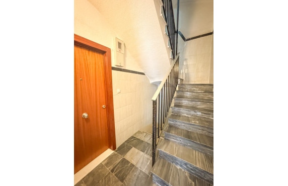 Alquiler Larga Estancia - Piso - Elche - Plaza Obispo Siuri