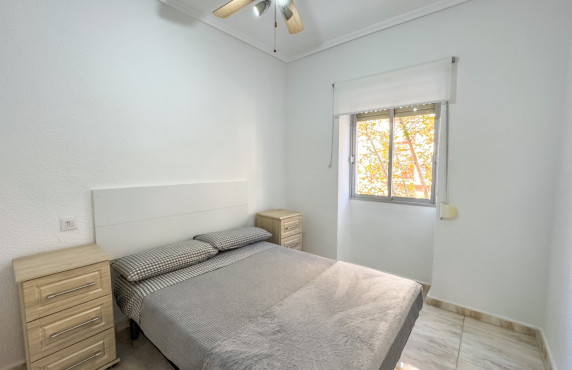 Alquiler Larga Estancia - Piso - Elche - Plaza Obispo Siuri