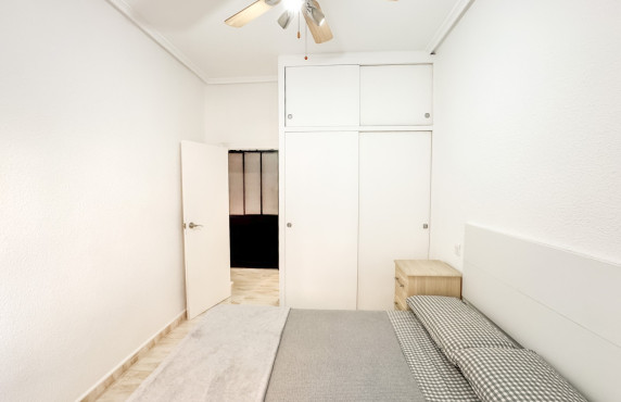 Alquiler Larga Estancia - Piso - Elche - Plaza Obispo Siuri