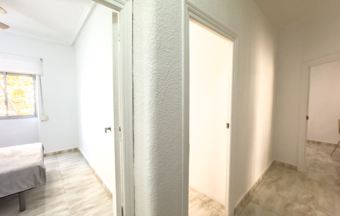 Alquiler Larga Estancia - Piso - Elche - Plaza Obispo Siuri