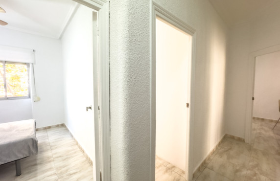 Alquiler Larga Estancia - Piso - Elche - Plaza Obispo Siuri