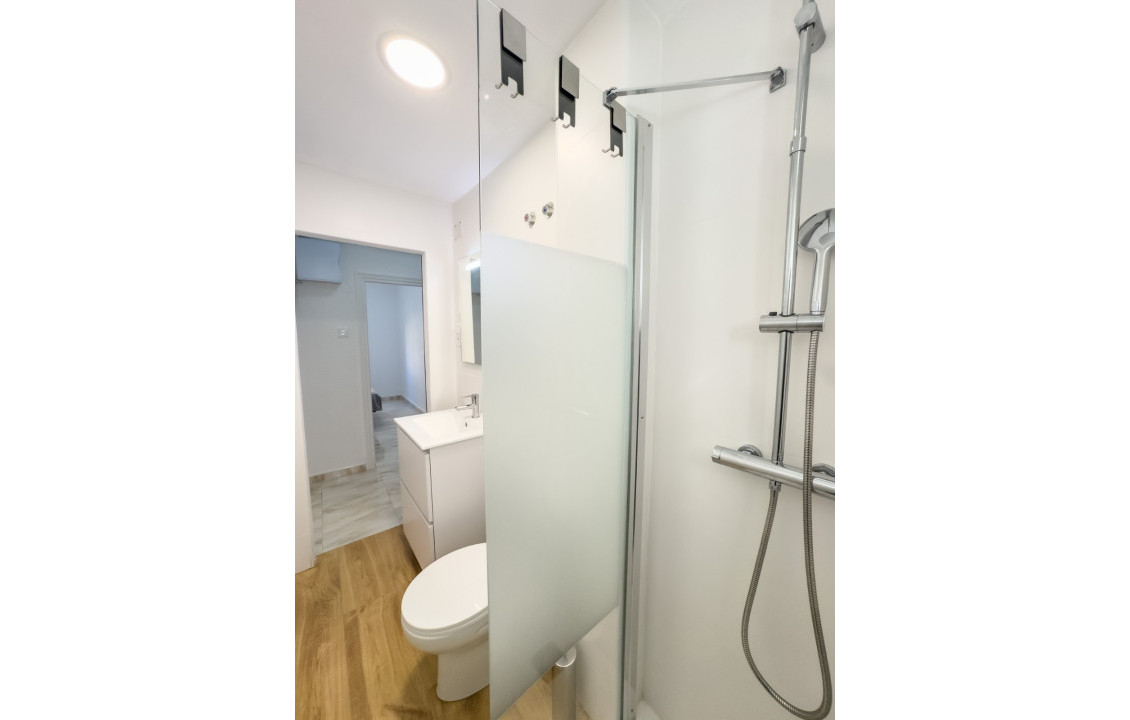 Alquiler Larga Estancia - Piso - Elche - Plaza Obispo Siuri