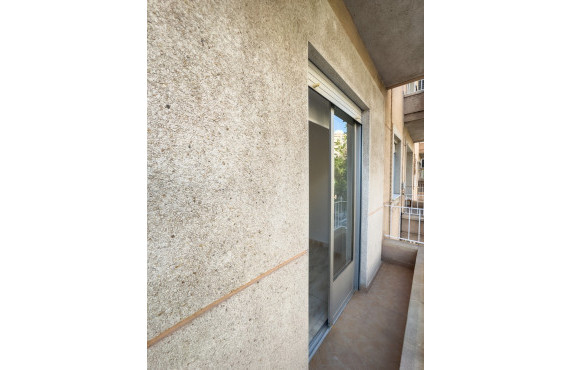 Alquiler Larga Estancia - Piso - Elche - Plaza Obispo Siuri