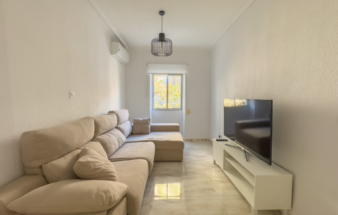 Alquiler Larga Estancia - Piso - Elche - Plaza Obispo Siuri