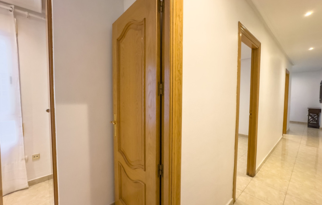 Alquiler Larga Estancia - Apartamento - Elche - Plaza Benidorm