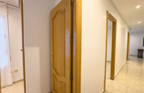 Alquiler Larga Estancia - Apartamento - Elche - Plaza Benidorm