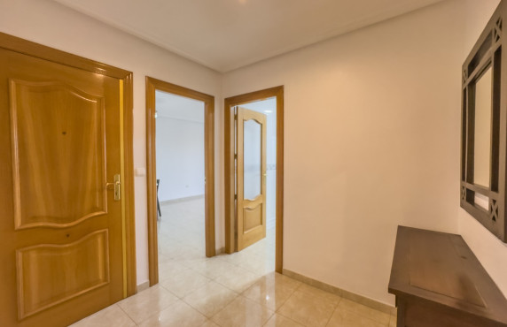 Alquiler Larga Estancia - Apartamento - Elche - Plaza Benidorm
