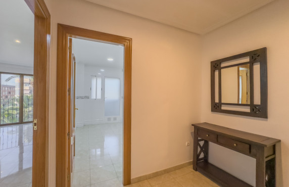 Alquiler Larga Estancia - Apartamento - Elche - Plaza Benidorm