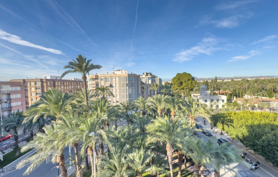 Alquiler Larga Estancia - Apartamento - Elche - Plaza Benidorm