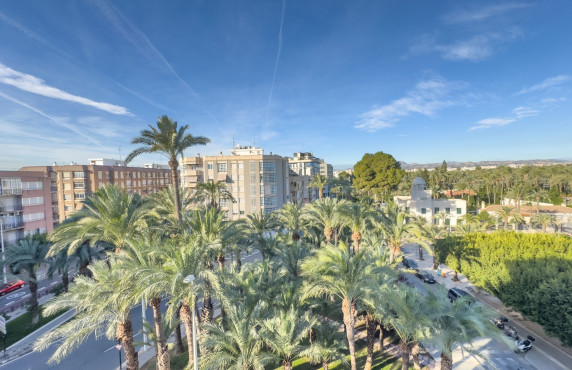 Alquiler Larga Estancia - Apartamento - Elche - Plaza Benidorm