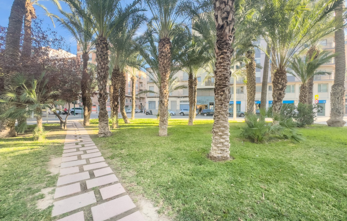 Alquiler Larga Estancia - Apartamento - Elche - Plaza Benidorm