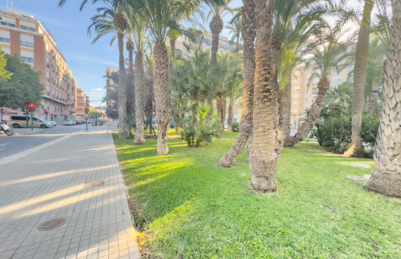 Alquiler Larga Estancia - Apartamento - Elche - Plaza Benidorm