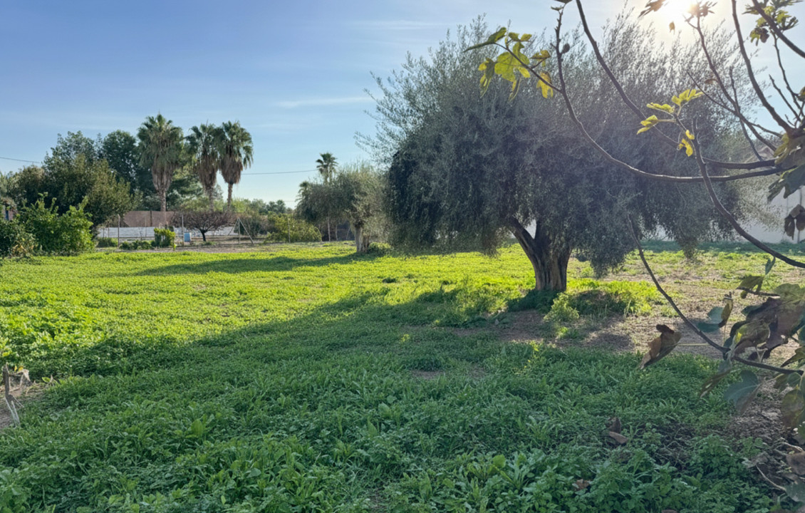 Venta - Casas o chalets -  - Catral