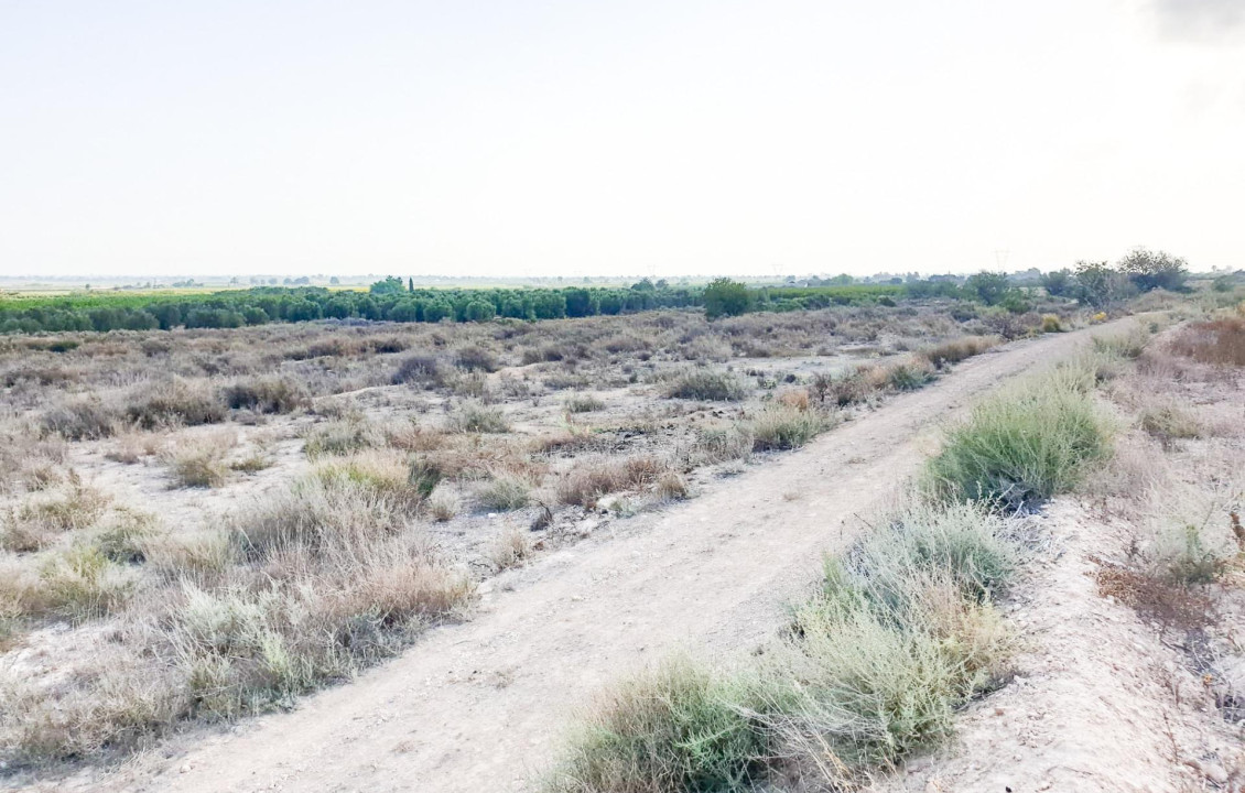 Venta - Parcela - La marina - Molar