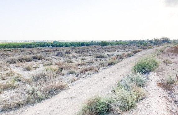 Venta - Parcela - La marina - Molar