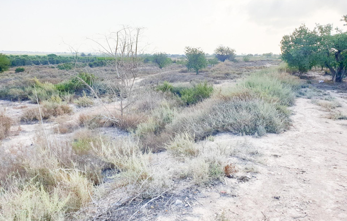 Venta - Parcela - La marina - Molar