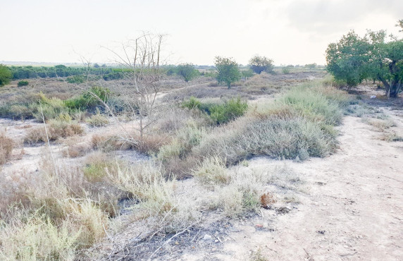 Venta - Parcela - La marina - Molar