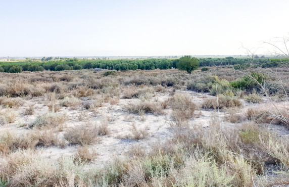 Venta - Parcela - La marina - Molar