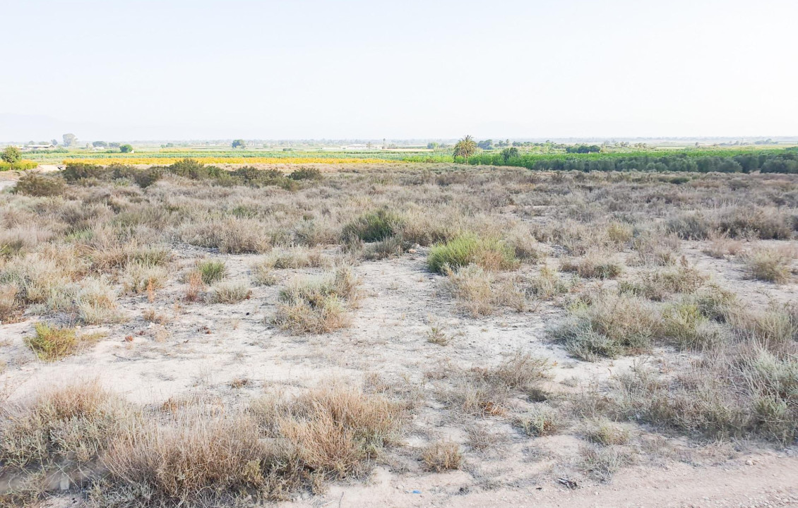 Venta - Parcela - La marina - Molar