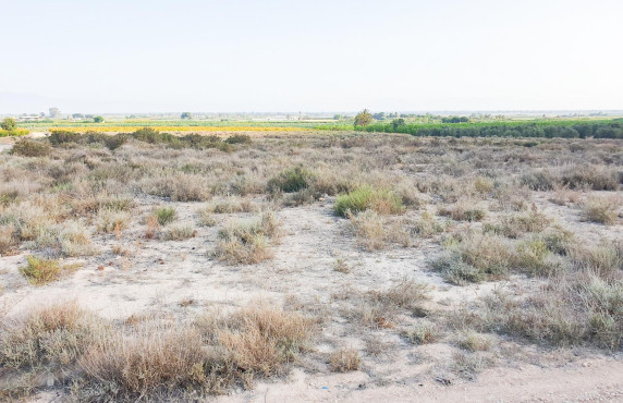 Venta - Parcela - La marina - Molar