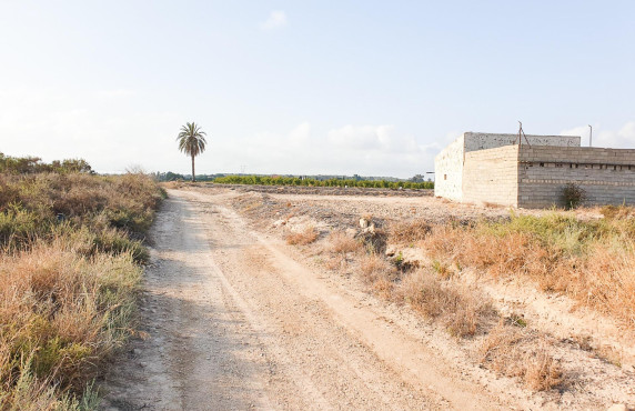 Venta - Parcela - La marina - Molar