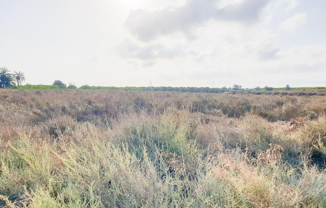 Venta - Parcela - La marina - Molar