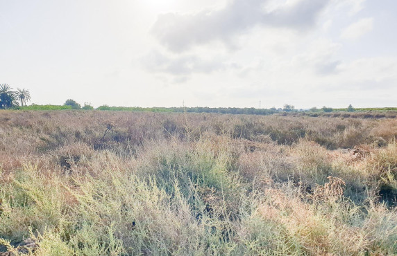 Venta - Parcela - La marina - Molar