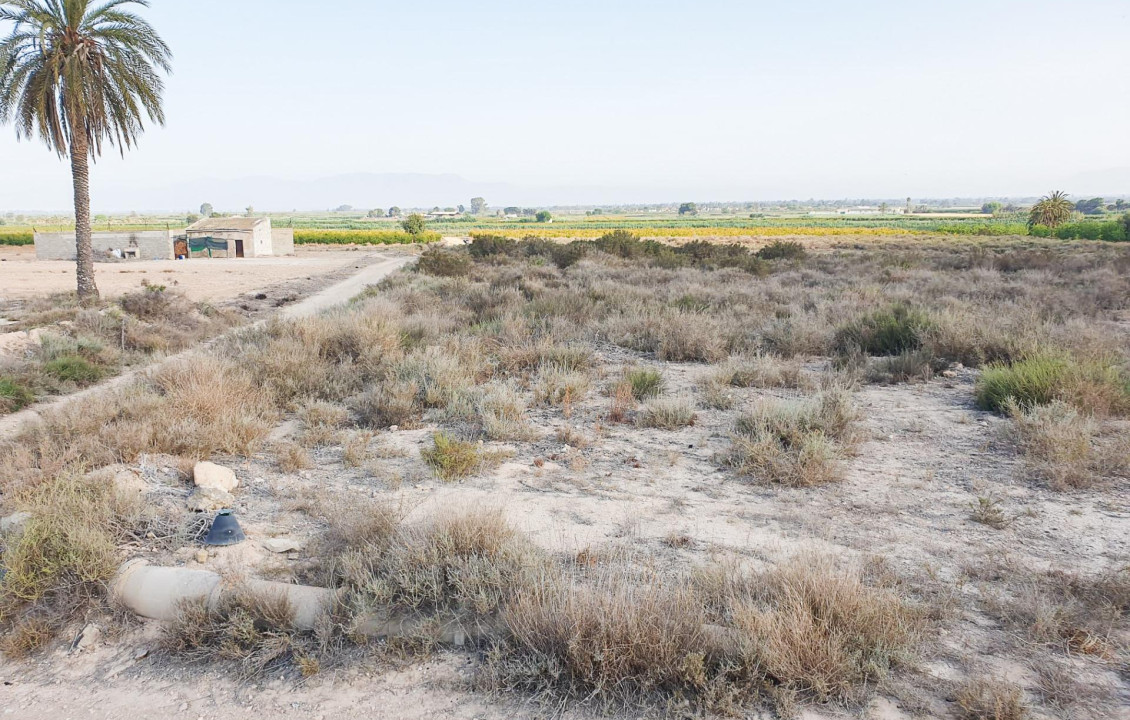 Venta - Parcela - La marina - Molar