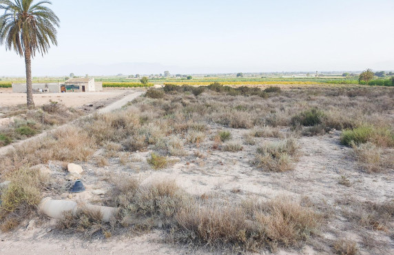 Venta - Parcela - La marina - Molar