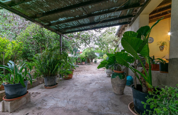 For Sale - Country house - La hoya