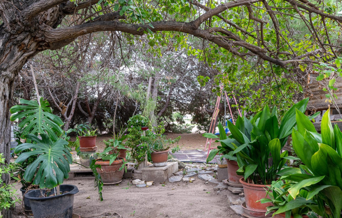 For Sale - Country house - La hoya