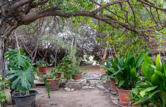 For Sale - Country house - La hoya