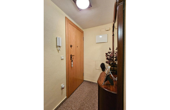 Venta - Piso - San Vicente del Raspeig - Norte