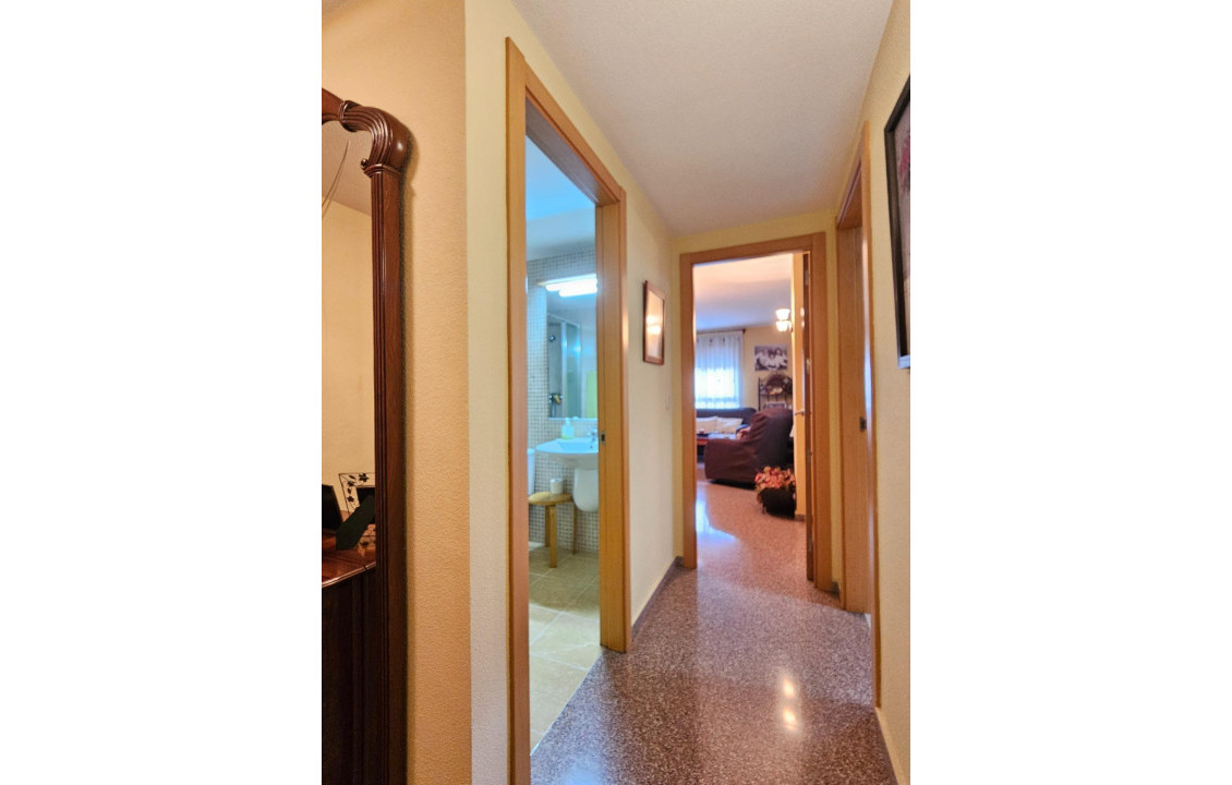 Venta - Piso - San Vicente del Raspeig - Norte