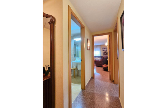 Venta - Piso - San Vicente del Raspeig - Norte