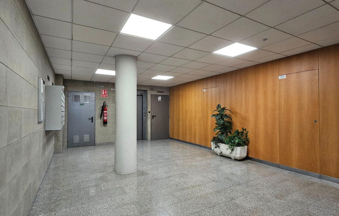 Venta - Piso - San Vicente del Raspeig - Norte