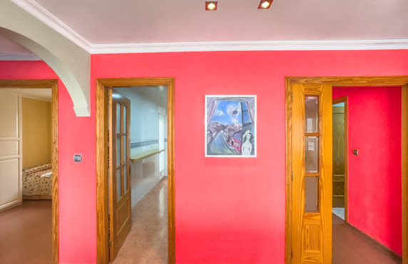 Alquiler Temporal - Apartamento - Santa Pola - Playa Levante